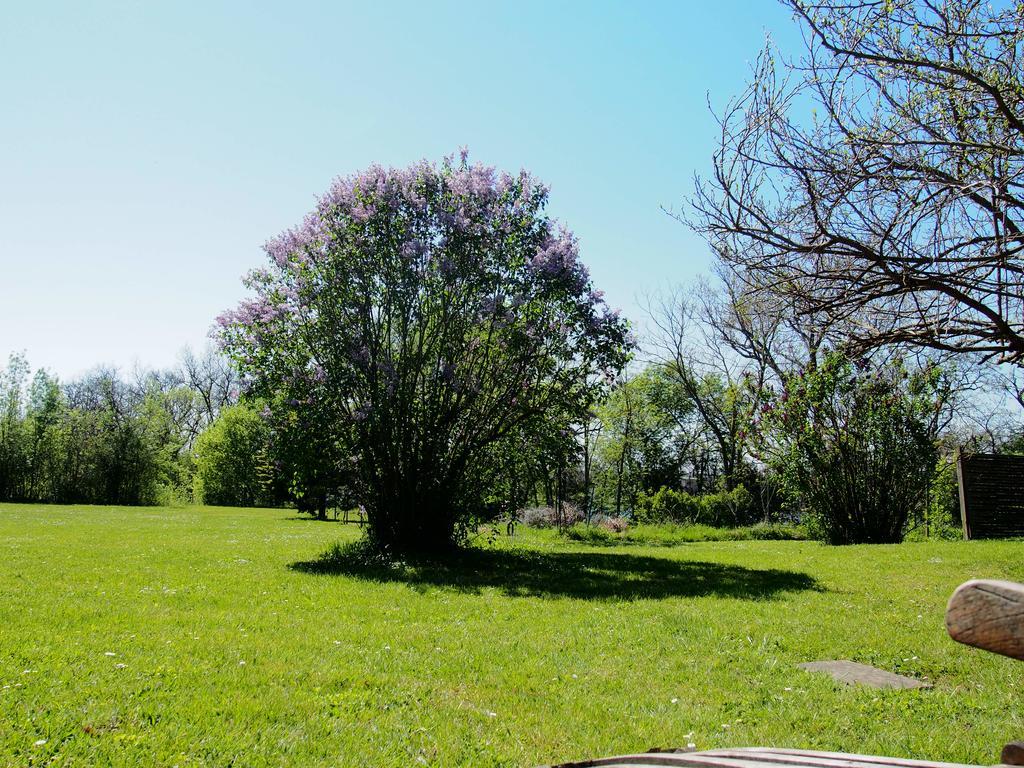 Gite De Charme Au Bord Du Tarn Marssac-sur-Tarn Eksteriør billede