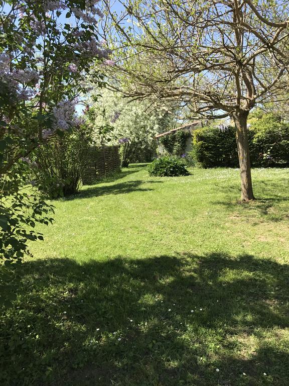 Gite De Charme Au Bord Du Tarn Marssac-sur-Tarn Eksteriør billede