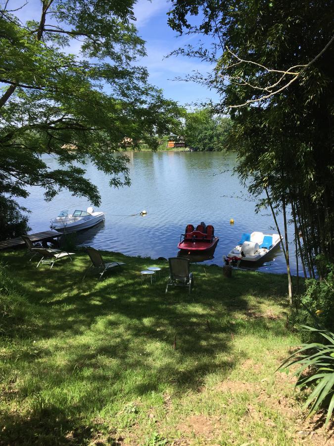 Gite De Charme Au Bord Du Tarn Marssac-sur-Tarn Eksteriør billede